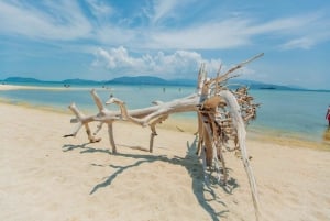 Koh Samui: Pig Island Day Tour by Speedboat