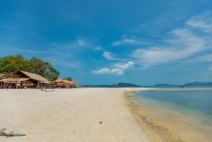 Koh Samui: Pig Island Day Tour by Speedboat