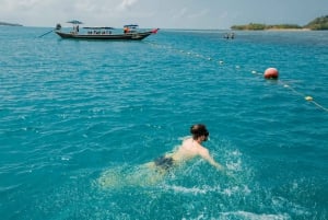 Koh Samui: Pig Island Day Tour by Speedboat