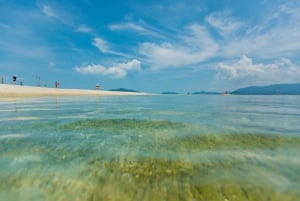 Koh Samui: Pig Island Day Tour by Speedboat