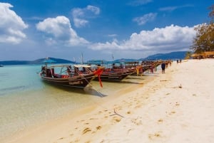 Koh Samui: Pig Island Private Longtail Boat Tour