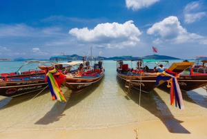 Koh Samui: Pig Island Private Longtail Boat Tour