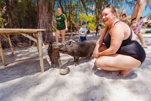 Koh Samui: Pig Island Private Longtail Adventure Tour