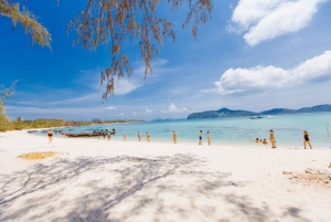 Koh Samui: Pig Island Private Longtail Adventure Tour