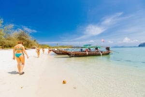 Koh Samui: Pig Island Private Longtail Adventure Tour