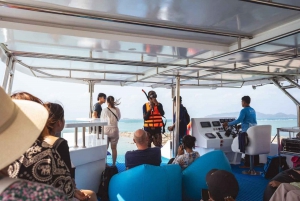 Koh Samui: Tur til griseøya med katamaran og hurtigbåt