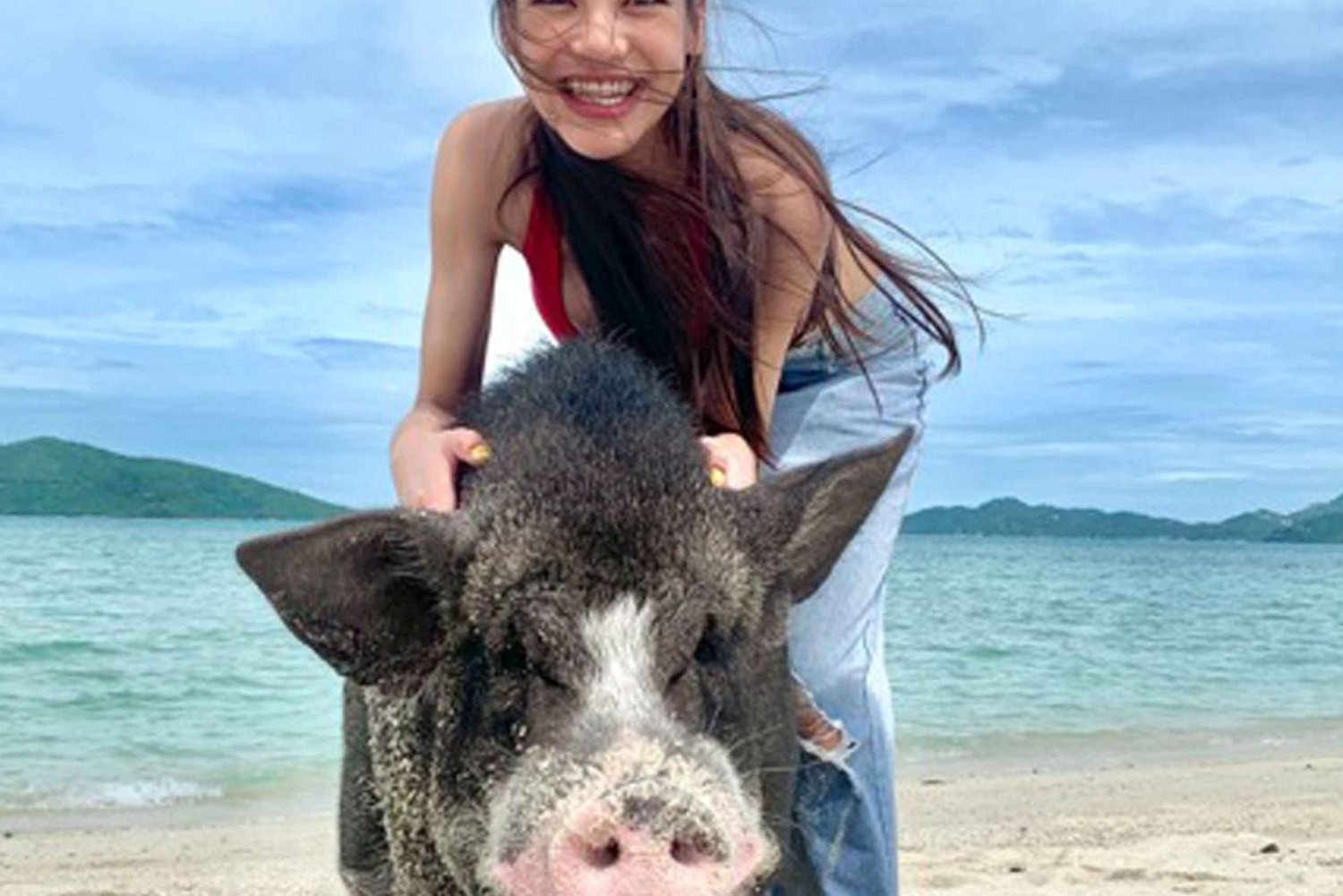 Koh Samui : Tour de l'île aux cochons en bateau rapide avec plongée en apnée