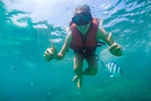 Koh Samui: Tour dell'Isola dei Maiali in motoscafo con snorkeling