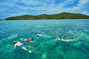 Koh Samui: Excursión a la Isla de los Cerdos en lancha rápida con snorkel