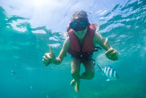 Koh Samui: Excursión a la Isla de los Cerdos en lancha rápida con snorkel
