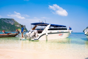 Koh Samui: Excursión a la Isla de los Cerdos en lancha rápida con snorkel