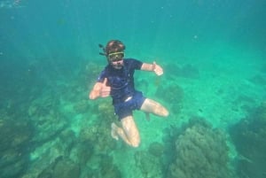 Koh Samui: Pig Island Tour by Speedboat with Snorkeling