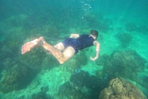 Koh Samui: Pig Island Tour by Speedboat with Snorkeling