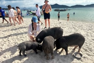 Koh Samui: Pig Island Tour by Speedboat with Snorkeling