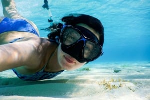 Koh Samui: Dagstur med rosa delfin, griseøya og snorkling