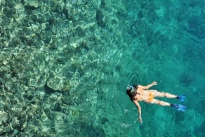 Koh Samui: Dagstur med rosa delfin, griseøya og snorkling