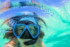 Koh Samui: Dagstur med rosa delfin, griseøya og snorkling