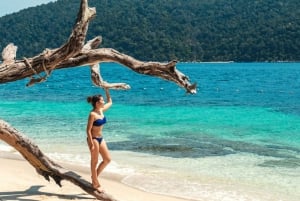 Koh Samui: Dagstur med rosa delfin, griseøya og snorkling