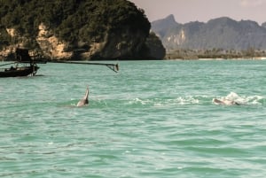 Sightseeing och snorkling med rosa delfiner på Koh Samui