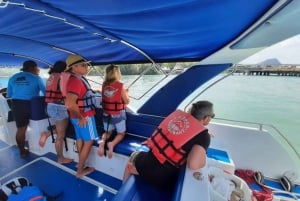 Koh Samui: Avvistamento dei delfini rosa e tour in motoscafo dell'isola di Pig