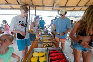Koh Samui : Observation des dauphins roses et excursion en bateau rapide sur l'île aux cochons