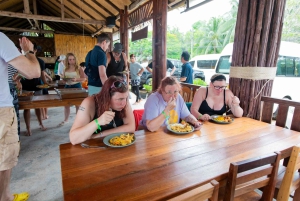 Koh Samui : Observation des dauphins roses et excursion en bateau rapide sur l'île aux cochons