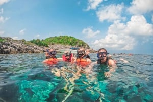 Koh Samui: Pink Dolphin Watching & Snorkeling Tour