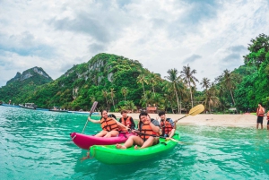 Koh Samui: Pink Dolphin Watching & Snorkeling Tour
