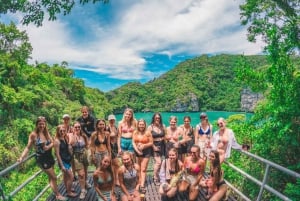 Koh Samui: Pink Dolphin Watching & Snorkeling Tour