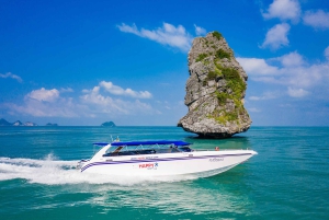 Koh Samui: Private Ang Thong Marine Park Tour mit dem Schnellboot