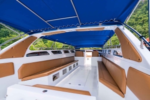 Koh Samui: Private Ang Thong Marine Park Tour mit dem Schnellboot