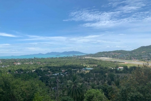 Koh Samui: Private Car or Minibus Rental with Driver