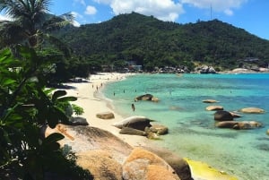 Koh Samui: Private Guided Island Tour