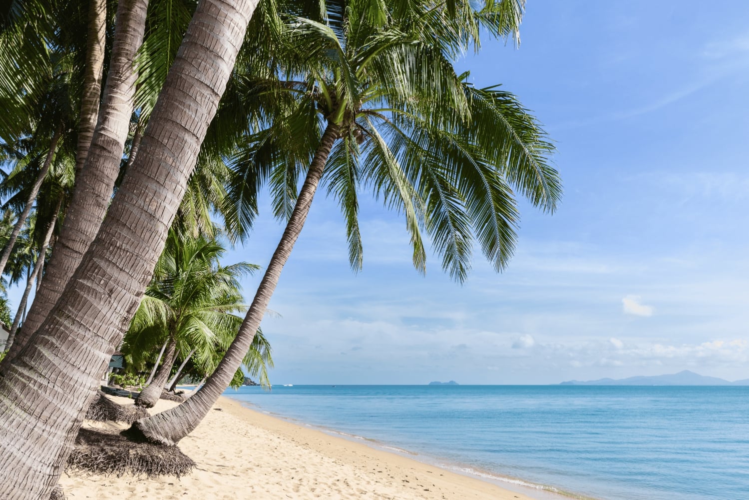 Koh Samui: Privat halvdagsutflykt med taxi i norr