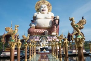 Koh Samui: Tour privado de medio día en taxi por el Norte