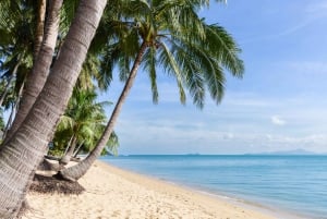 Koh Samui: Tour privado de medio día en taxi por el Norte