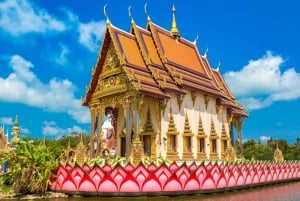 Koh Samui: Tour privado de medio día en taxi por el Norte