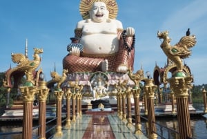 Koh Samui: Privat halvdagsutflykt med taxi i norr