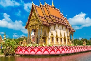 Koh Samui: Privat halvdagsutflykt med taxi i norr