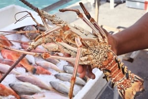 Koh Samui: Privat halvdagsutflykt med taxi i norr