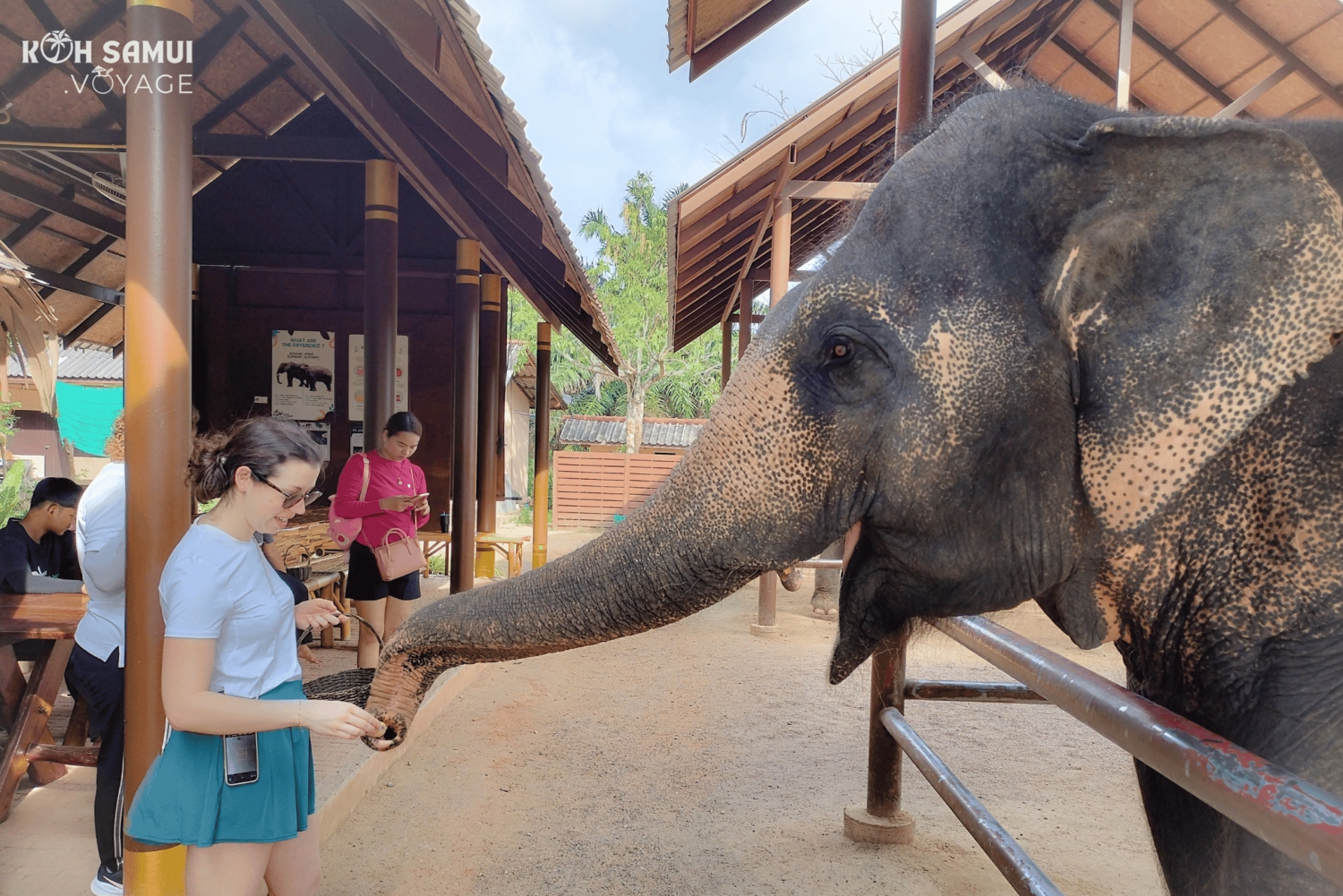 Koh Samui: Private Halbtagestour mit dem Taxi in den Süden