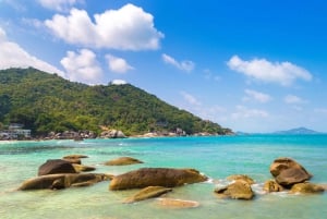 Koh Samui: Private Half-day Taxi Tour in the South