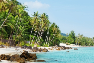 Koh Samui: Private Halbtagestour mit dem Taxi in den Süden