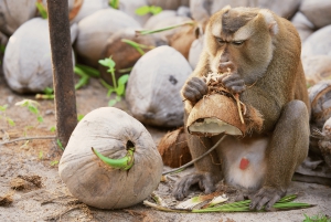 Koh Samui: Private Halbtagestour mit dem Taxi in den Süden