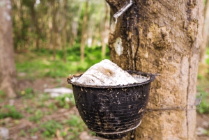 Koh Samui: Private Halbtagestour mit dem Taxi in den Süden