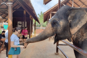 Koh Samui: Private Halbtagestour mit dem Taxi in den Süden