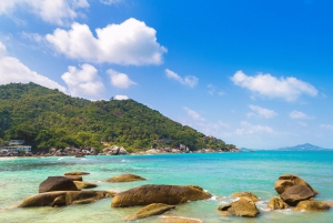 Koh Samui: Private Halbtagestour mit dem Taxi in den Süden