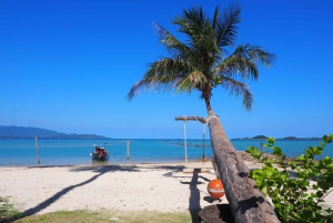 Koh Samui: Private Island Hopping Boat Tour