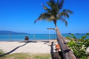 Koh Samui : Circuit privé dans les îles en bateau