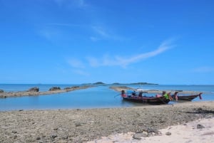 Koh Samui : Circuit privé dans les îles en bateau